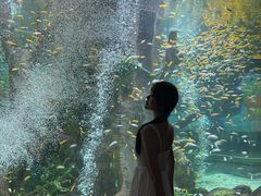 -合肥海洋世界