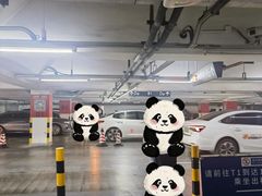 -上海浦东国际机场T1航站楼-P1停车场