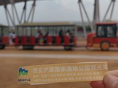 -西安浐灞国家湿地公园