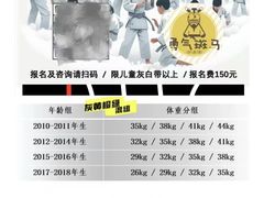 -勇气斑马·巴西柔术&跆拳道(浦东三林店)