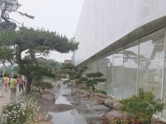 -罗红摄影艺术馆