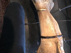 -美国自然历史博物馆