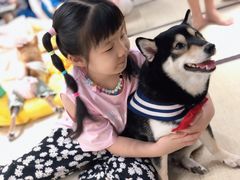 -逗柴咖啡屋·狗咖猫咖宠物桌游