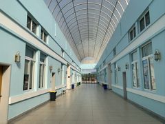 -中加枫华国际学校