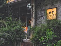 -春树下·树屋花房西餐厅(罍街AS1980店)