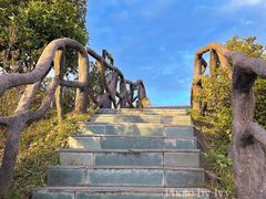 -梧桐山风景名胜区