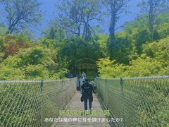 -南京市无想山景区