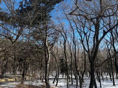 -长春市南湖公园