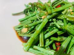 拌蕨菜-七八冷面·延边朝鲜族美食(圣熙八号店)
