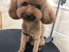 -美联众合动物医院·24h京西诊疗中心