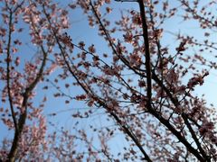 -吉林大学前卫校区南区-日新楼