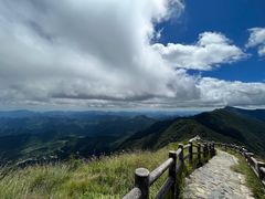 -白草畔自然风景区