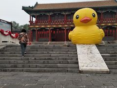-盛世南宫影视城(北普陀影视城)