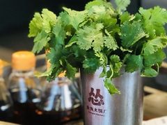 -怂重庆火锅厂(龙华壹方城店)