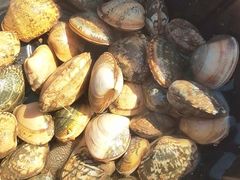 -东疆理想海岸沙滩景区