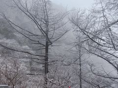 -崂山巨峰游览区
