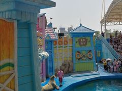 -华夏文旅海洋公园