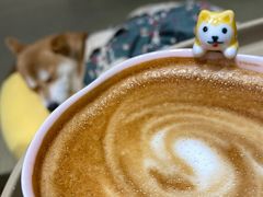 -逗柴咖啡屋·狗咖猫咖宠物桌游