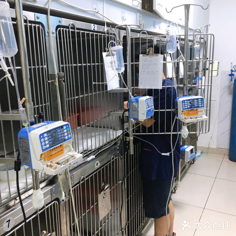 小宝贝要快点恢复健康啊