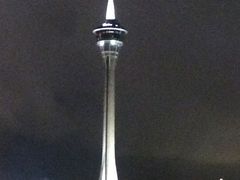 -澳门环岛游湾仔码头