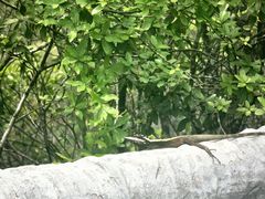 -重庆云阳龙缸景区