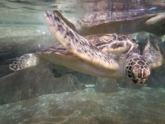 -福州罗源湾海洋世界旅游区
