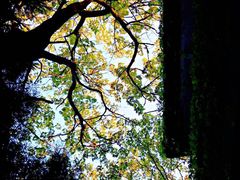 -重庆雨台山风景区