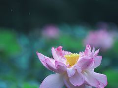 -长广溪湿地公园
