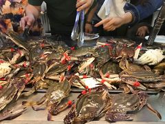 -春华海鲜城(广场西苑店)
