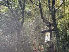 -明月山天沐温泉度假村