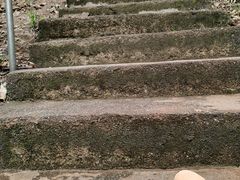 -滴水岩森林公园