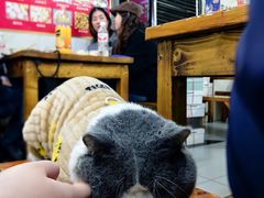 -十里铺铁板鱿鱼