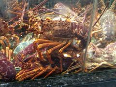 -海鲜e族(马王堆店)