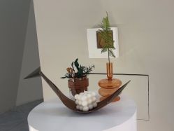 -VE专注问题肌·赛诺龙&科学美肤中心