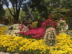 -上海市龙华烈士陵园