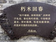 -朴园