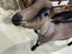 -大连圣亚海洋世界