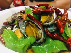辣炒小鲍鱼-船歌·鱼水饺青岛菜(金狮广场店)