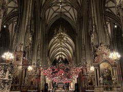 -斯蒂芬主教座堂(Stephansdom)