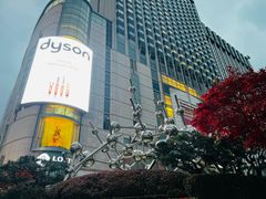 -乐天免税店(明洞店)