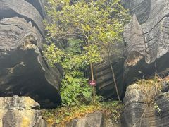 -梭布垭石林景区