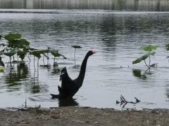 -长春市南湖公园