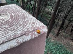 -八大处公园