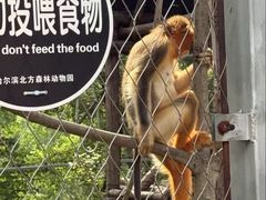 -哈尔滨北方森林动物园