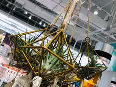 -KKV(深圳宏发大仟里店)