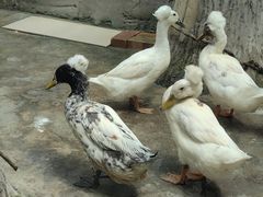 -洛阳龙门海洋馆