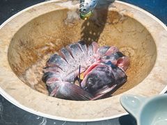 -云海肴云南菜·蒸汽石锅鱼(青岛万象城店)