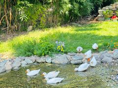 -HERRE·FARM 赫尔露营农场·团建聚会包场