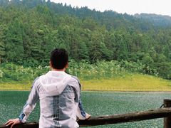 -武陵山森林公园