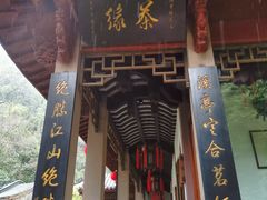-十八棵（老龙井）御茶园(老龙井店)